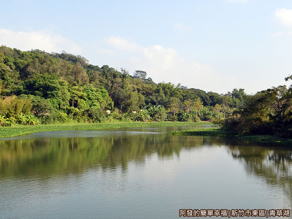 青草湖12-映月橋上湖景