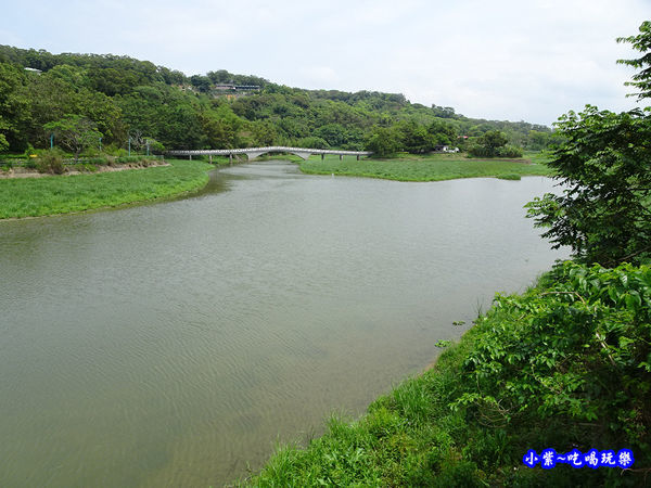 新竹-青草湖 (8).jpg