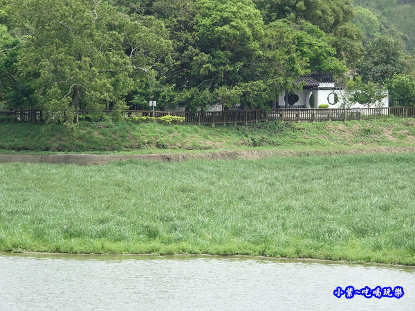 新竹-青草湖 (9).jpg