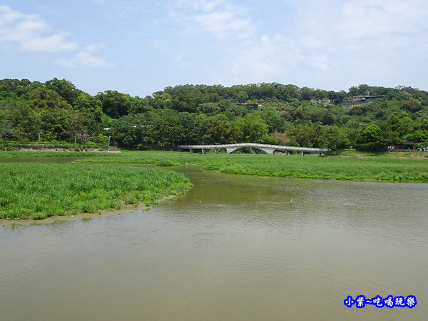 新竹-青草湖 (5).jpg