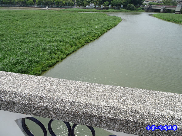 新竹-青草湖 (1).jpg