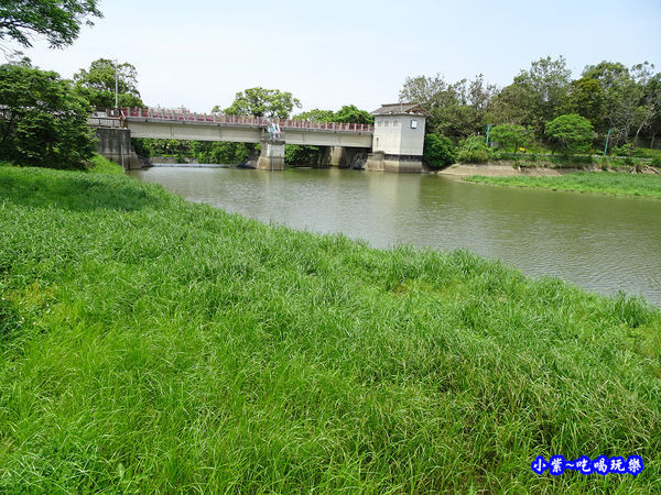 新竹-青草湖 (7).jpg