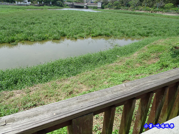 新竹-青草湖 (3).jpg