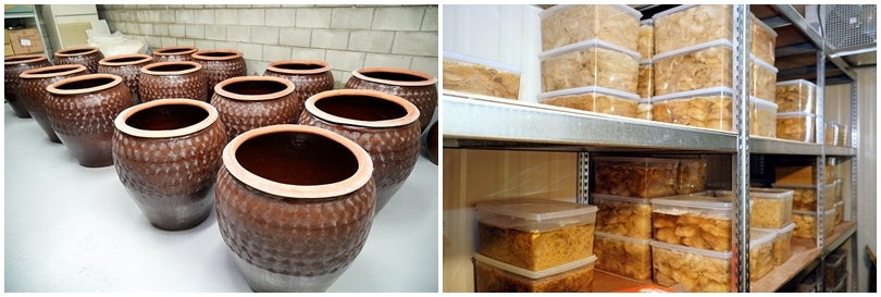 【台中火鍋】黃金張老甕東北酸菜白肉鍋.天然發酵的酸白菜鍋酸甜回甘,超人氣手工麵食點心也推薦!