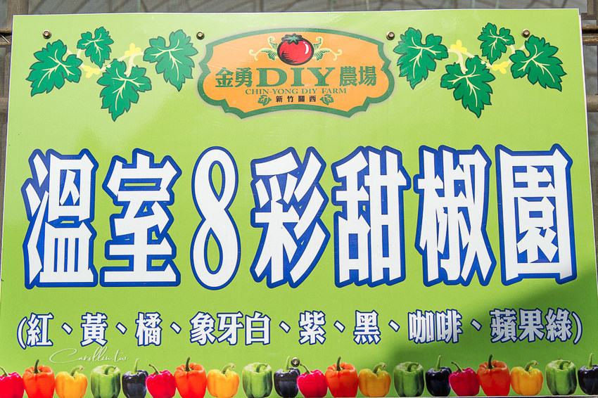 《金勇蕃茄農場》適合親子旅遊的免門票景點 - 卡琳。摸魚兒趣