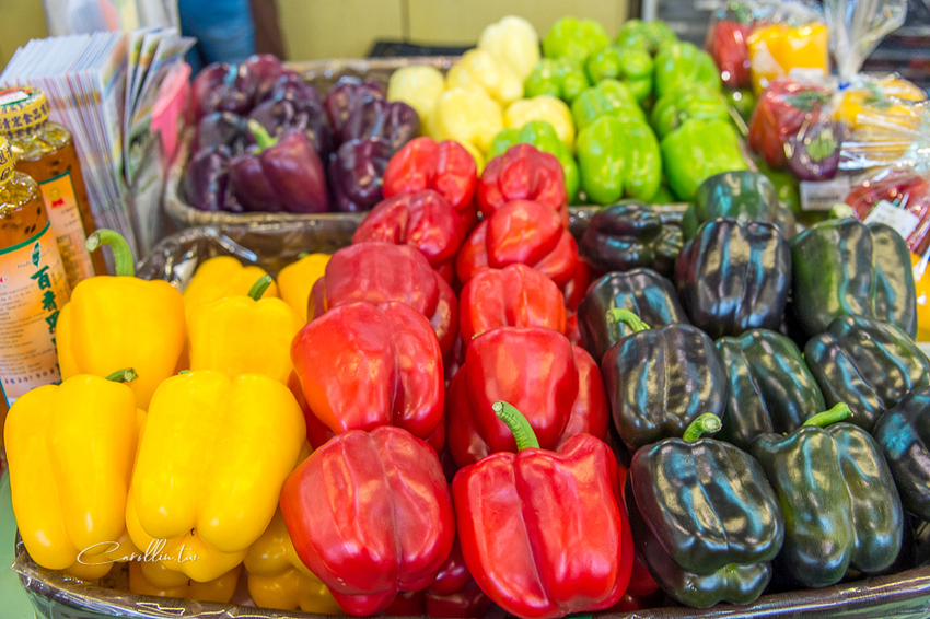 《金勇蕃茄農場》適合親子旅遊的免門票景點 - 卡琳。摸魚兒趣