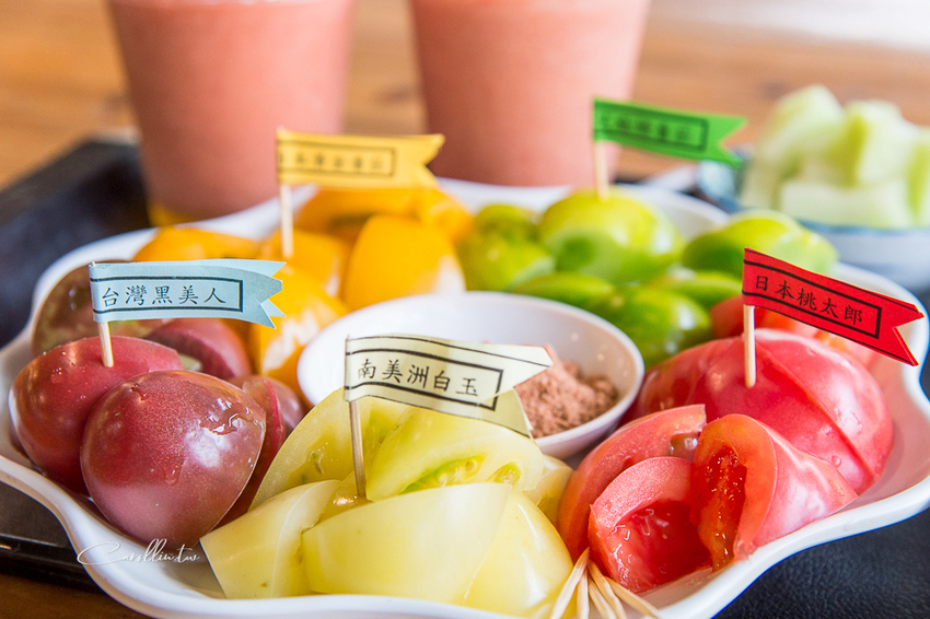 《金勇蕃茄農場》適合親子旅遊的免門票景點 - 卡琳。摸魚兒趣