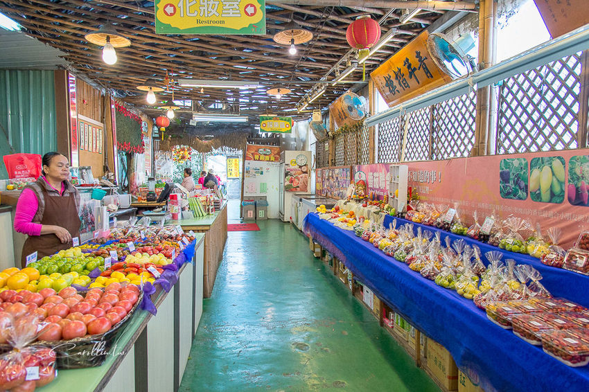 《金勇蕃茄農場》適合親子旅遊的免門票景點 - 卡琳。摸魚兒趣