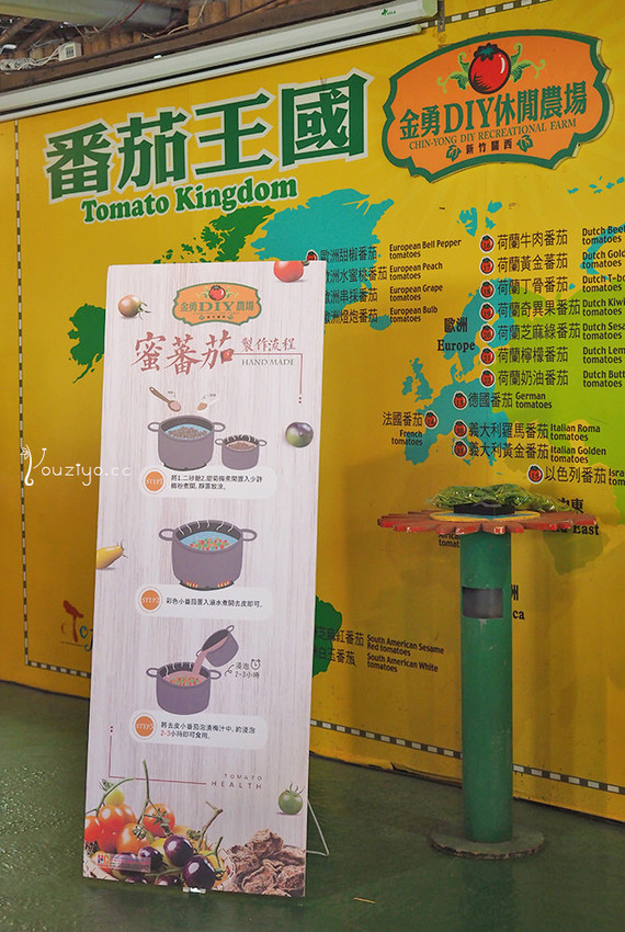 新竹關西金勇DIY蕃茄農場 色彩繽紛甜酸蜜蕃茄DIY