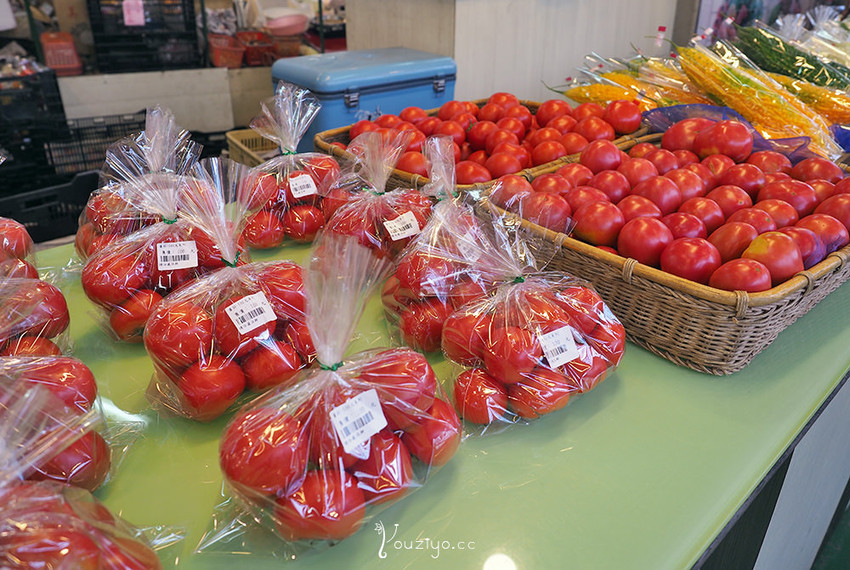 新竹關西金勇DIY蕃茄農場 色彩繽紛甜酸蜜蕃茄DIY