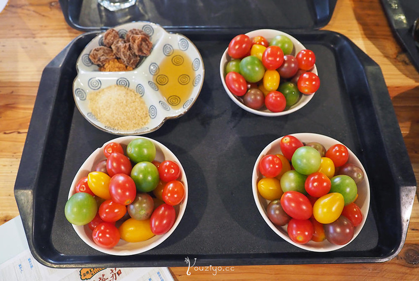 新竹關西金勇DIY蕃茄農場 色彩繽紛甜酸蜜蕃茄DIY