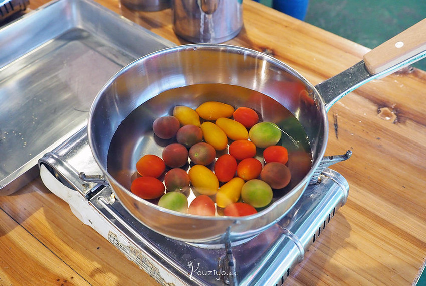 新竹關西金勇DIY蕃茄農場 色彩繽紛甜酸蜜蕃茄DIY