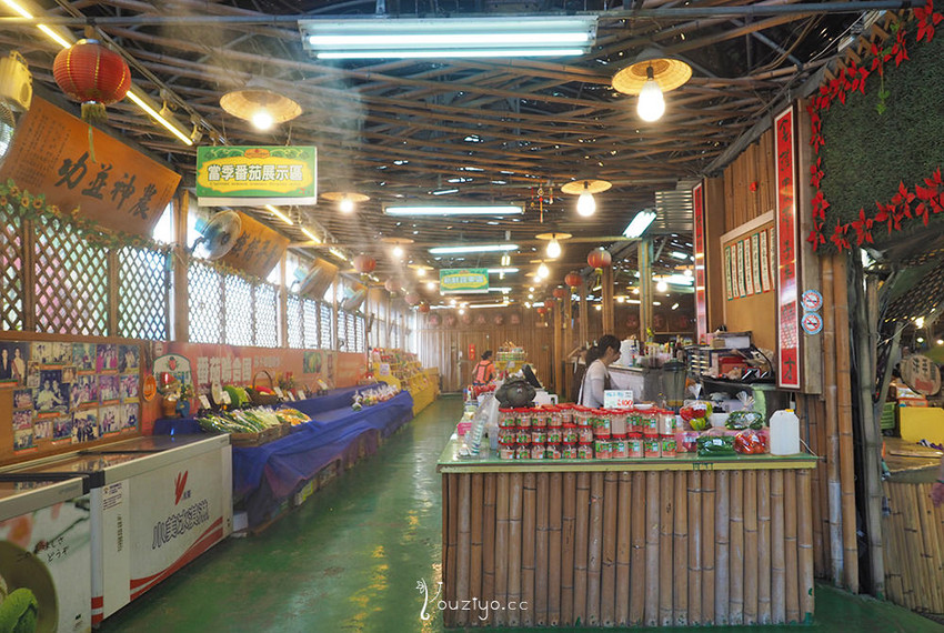 新竹關西金勇DIY蕃茄農場 色彩繽紛甜酸蜜蕃茄DIY