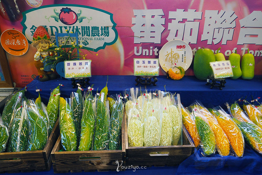 新竹關西金勇DIY蕃茄農場 色彩繽紛甜酸蜜蕃茄DIY