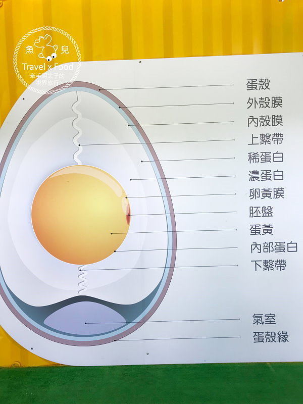【展】2018淡水蛋蛋節：扭蛋、吃蛋、玩蛋，從早玩到晚，一起來搗蛋！ @魚兒 x 牽手明太子的「視」界旅行
