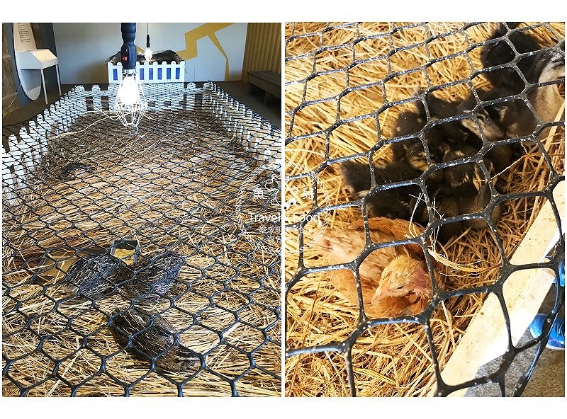 【展】2018淡水蛋蛋節：扭蛋、吃蛋、玩蛋，從早玩到晚，一起來搗蛋！ @魚兒 x 牽手明太子的「視」界旅行