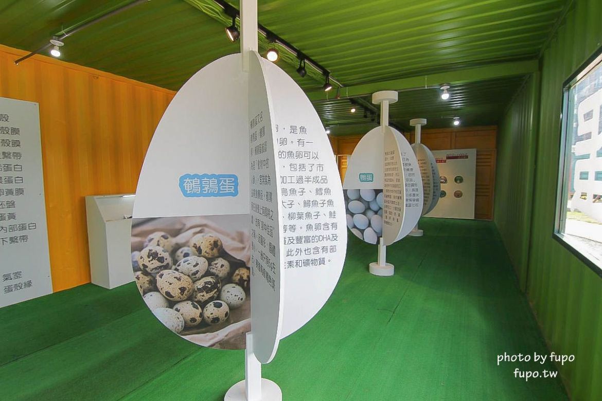 就是要玩！全台最高巨型扭蛋機~2018淡水蛋蛋嘉年華：多款彩色貨櫃進駐,可愛市集,沙堆.球池.扮家家酒組合.DIY,交通,票價,停車場,路線,一日遊