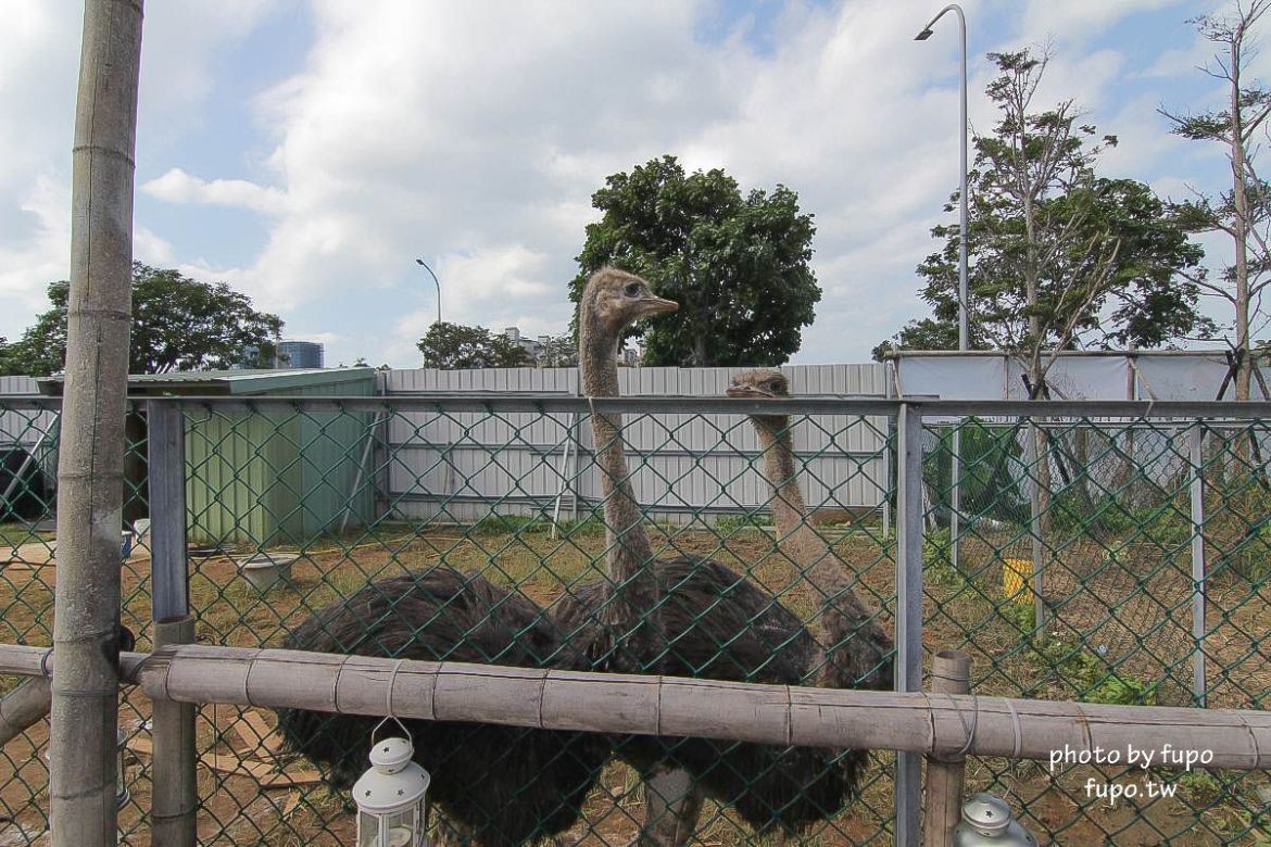 就是要玩！全台最高巨型扭蛋機~2018淡水蛋蛋嘉年華：多款彩色貨櫃進駐,可愛市集,沙堆.球池.扮家家酒組合.DIY,交通,票價,停車場,路線,一日遊