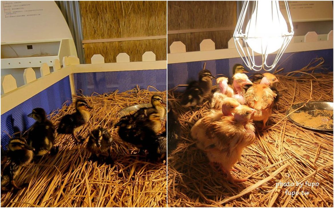 就是要玩！全台最高巨型扭蛋機~2018淡水蛋蛋嘉年華：多款彩色貨櫃進駐,可愛市集,沙堆.球池.扮家家酒組合.DIY,交通,票價,停車場,路線,一日遊