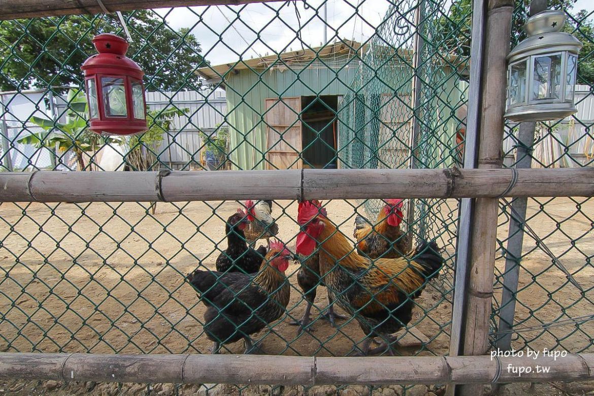 就是要玩！全台最高巨型扭蛋機~2018淡水蛋蛋嘉年華：多款彩色貨櫃進駐,可愛市集,沙堆.球池.扮家家酒組合.DIY,交通,票價,停車場,路線,一日遊