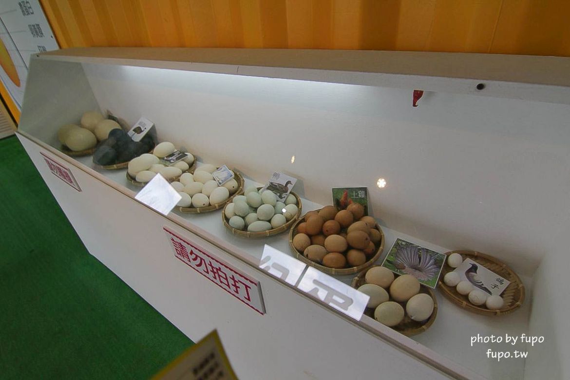 就是要玩！全台最高巨型扭蛋機~2018淡水蛋蛋嘉年華：多款彩色貨櫃進駐,可愛市集,沙堆.球池.扮家家酒組合.DIY,交通,票價,停車場,路線,一日遊