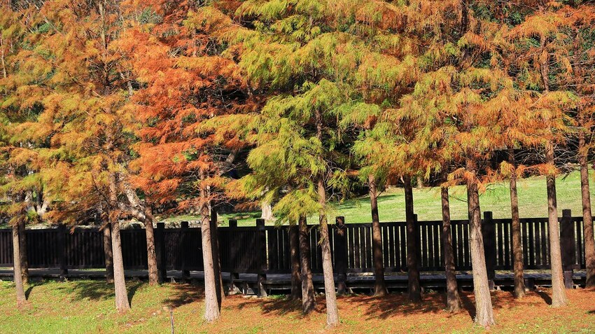 136973723_10158694895581005_6415100010726996299_o