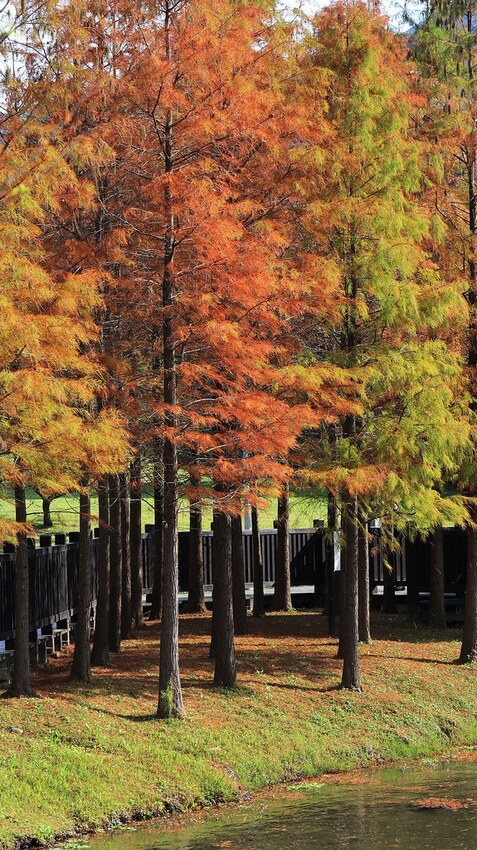 135789488_10158694895831005_2328765481893205743_o