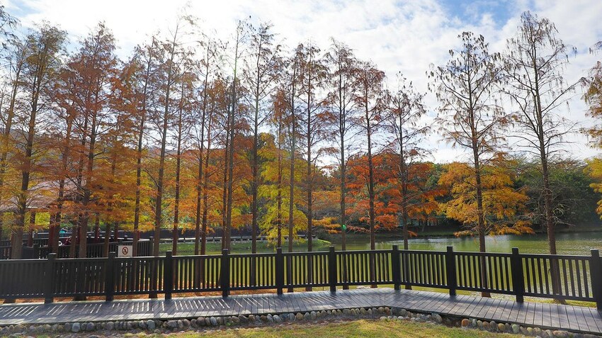 136114139_10158694896436005_4842079882960435454_o