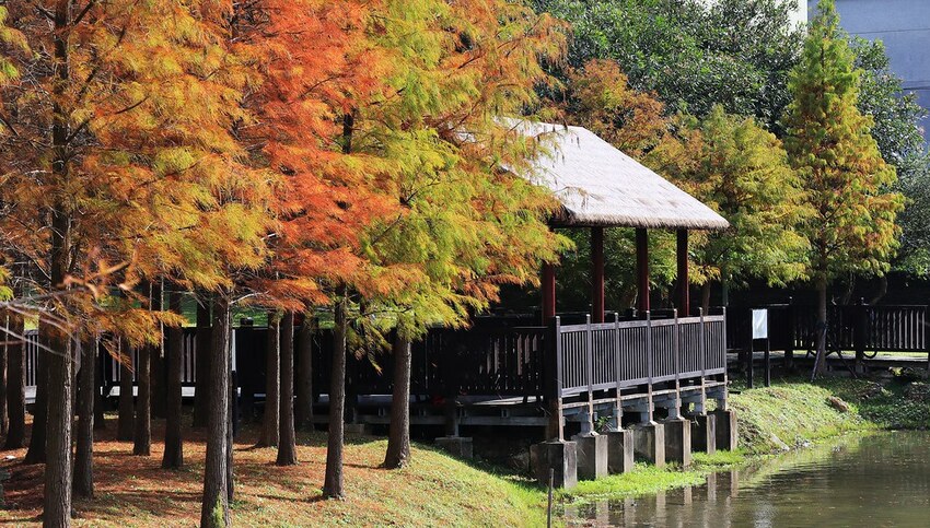 137576873_10158694895741005_282025791858758430_o