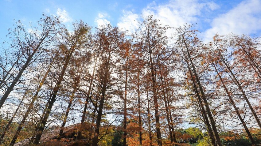 136175837_10158694896826005_4592603251674685109_o