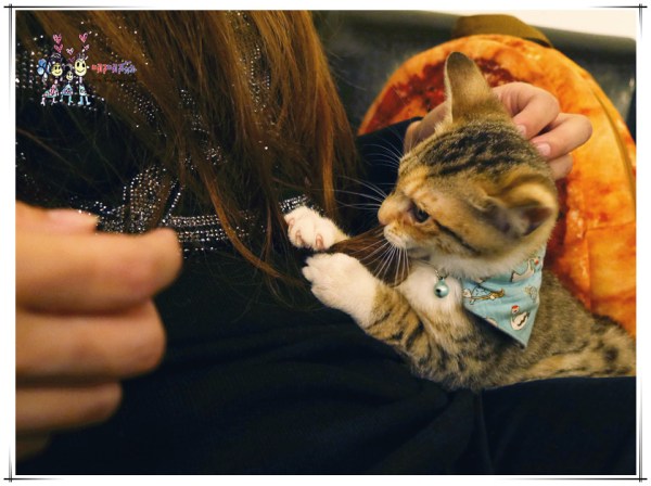 桃園美食,大溪美食,文青咖啡店,日式,貓店長,大溪老街