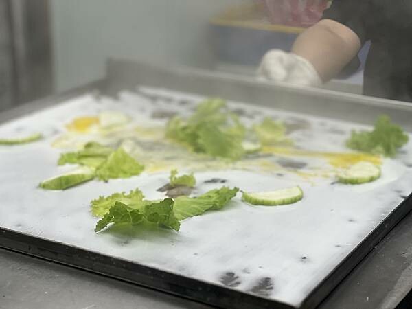 相片 2024-4-9 19 05 18