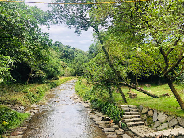 金山一日輕旅行,私房景點大公開/鹿羽松牧場、中角灣沙灘、還有蓮花季賞蓮花、好吃好玩都在這一篇