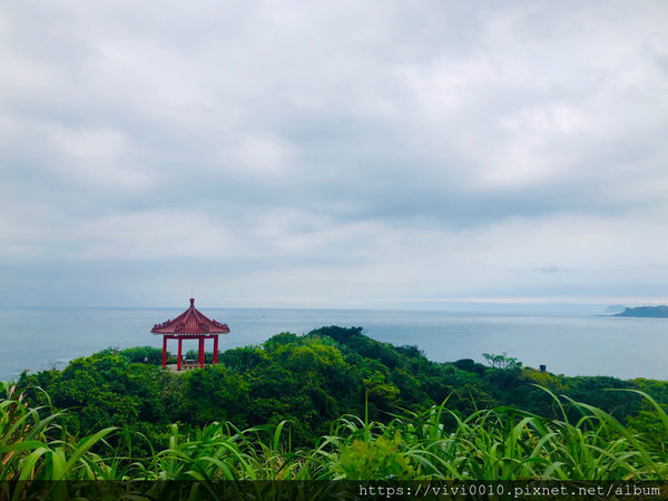 金山一日輕旅行,私房景點大公開/鹿羽松牧場、中角灣沙灘、還有蓮花季賞蓮花、好吃好玩都在這一篇