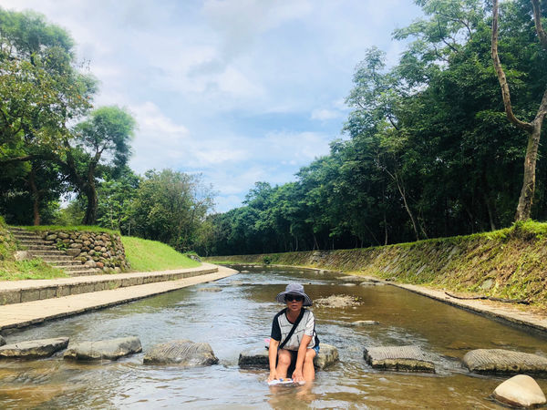 金山一日輕旅行,私房景點大公開/鹿羽松牧場、中角灣沙灘、還有蓮花季賞蓮花、好吃好玩都在這一篇