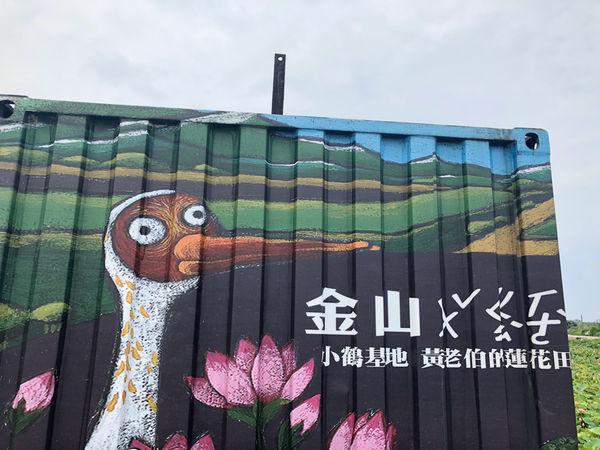 金山一日輕旅行,私房景點大公開/鹿羽松牧場、中角灣沙灘、還有蓮花季賞蓮花、好吃好玩都在這一篇