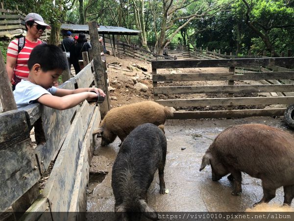 鹿羽松牧場_200419_0031.jpg 鹿羽松牧場_200419_0031.jpg