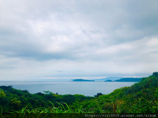 金山一日輕旅行,私房景點大公開/鹿羽松牧場、中角灣沙灘、還有蓮花季賞蓮花、好吃好玩都在這一篇