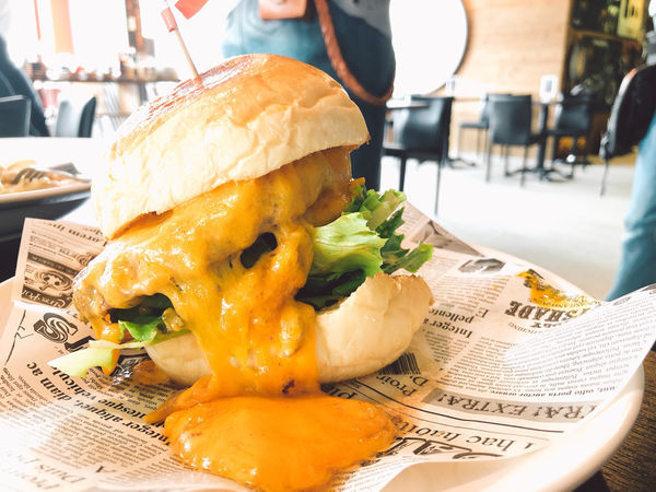 金山一日輕旅行,私房景點大公開/鹿羽松牧場、中角灣沙灘、還有蓮花季賞蓮花、好吃好玩都在這一篇