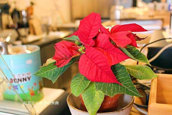 25674355_1643351172352763_729094377_n