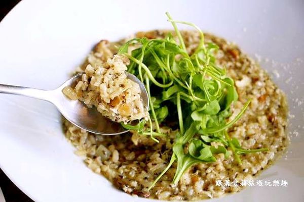 23667245_1608287469192467_1845138402_n