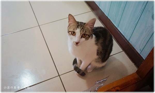 樂樂咪小廚房Love Love Mi house:樂樂咪小廚房║緊鄰美術館綠園道,精緻複合式餐飲、放鬆享受好