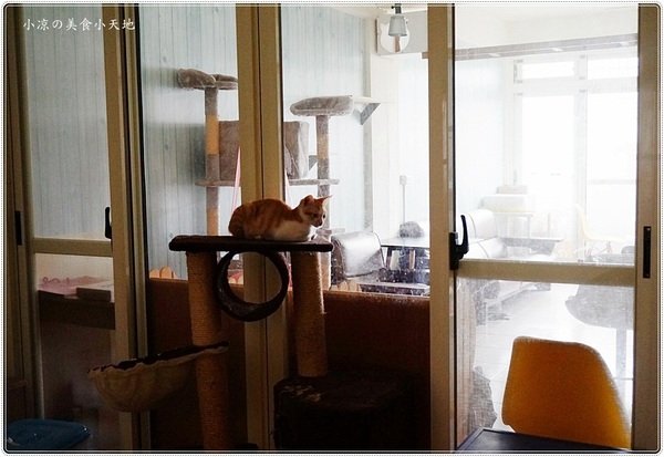 樂樂咪小廚房Love Love Mi house:樂樂咪小廚房║緊鄰美術館綠園道,精緻複合式餐飲、放鬆享受好