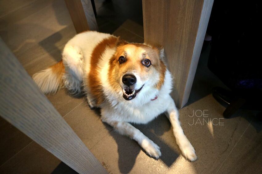 南投【督賀咖啡】精品手沖咖啡 再來份蔬食鹹派