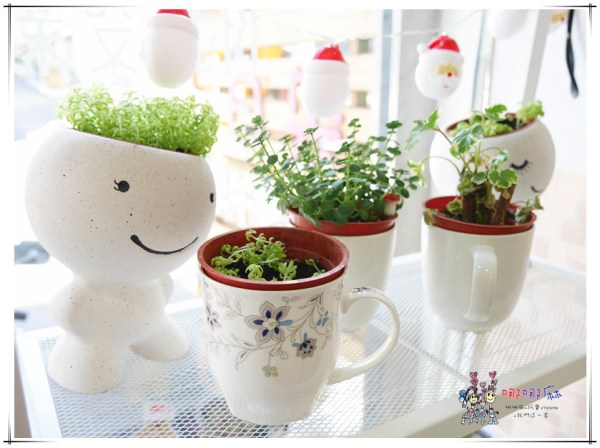 桃園美食,桃園早餐,日朵輕食,寶山街,早午餐,咖啡