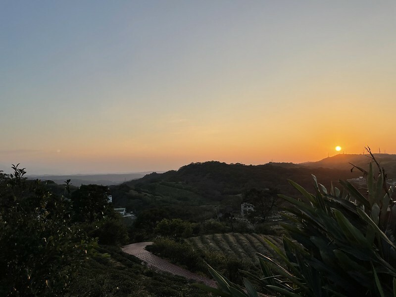 【台灣,桃園市,楊梅區】好美的賞櫻秘境~秀才登山步道。