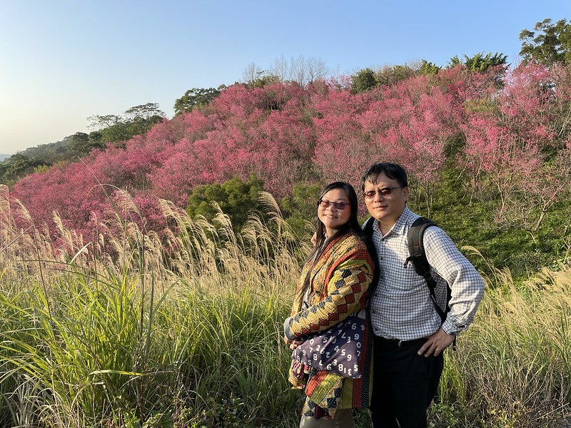 【台灣,桃園市,楊梅區】好美的賞櫻秘境~秀才登山步道。