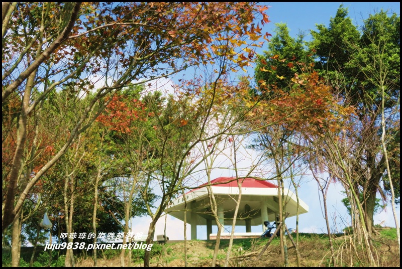 秀才登山步道72.JPG