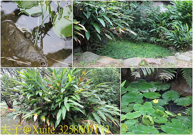 水保好好玩：三水水土保持戶外教室，一座兼具安全、生態與休閒的水保樂園