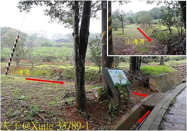 水保好好玩：三水水土保持戶外教室，一座兼具安全、生態與休閒的水保樂園